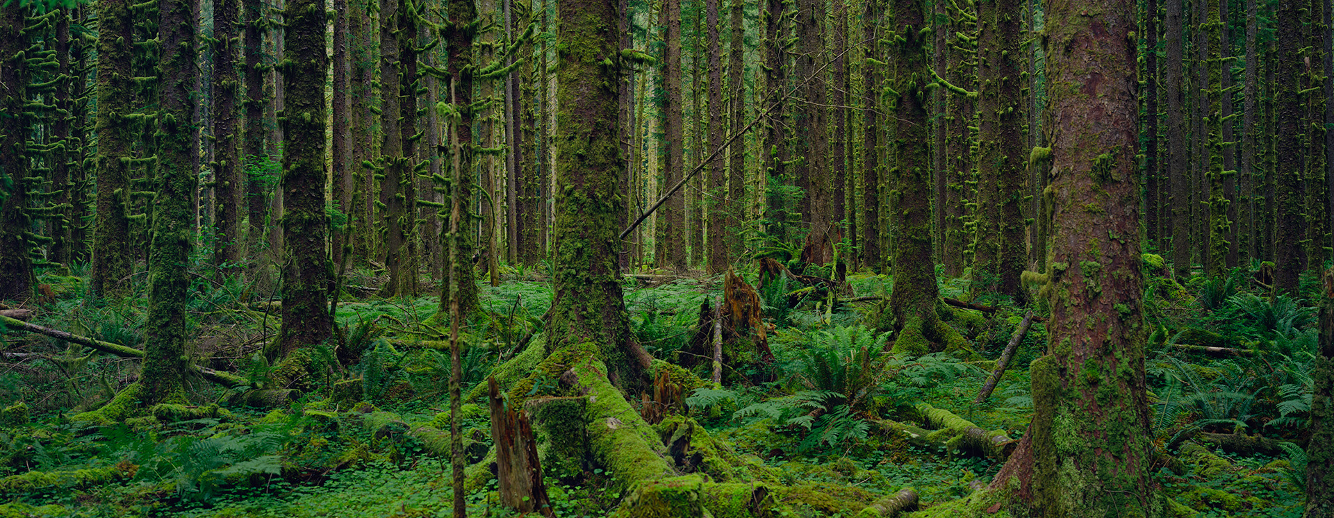 Photography exhibition 